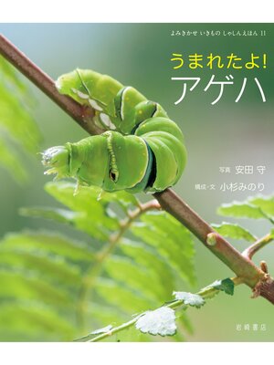 cover image of うまれたよ!アゲハ